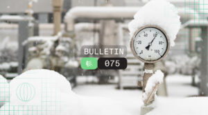 Snowy pressure gauge