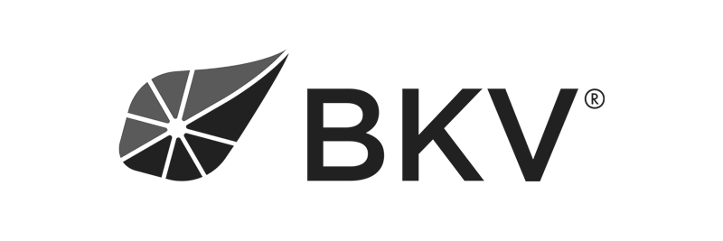 BKV logo