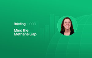 Green gradient background featuring the title 'Briefing 003 Mind the Methane Gap' and a circular headshot of a smiling woman on the right.